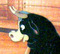 Roel
