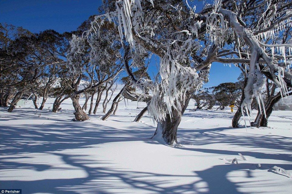 Australia s First Day Of Winter Brings Lowest Temperatures In Forty 