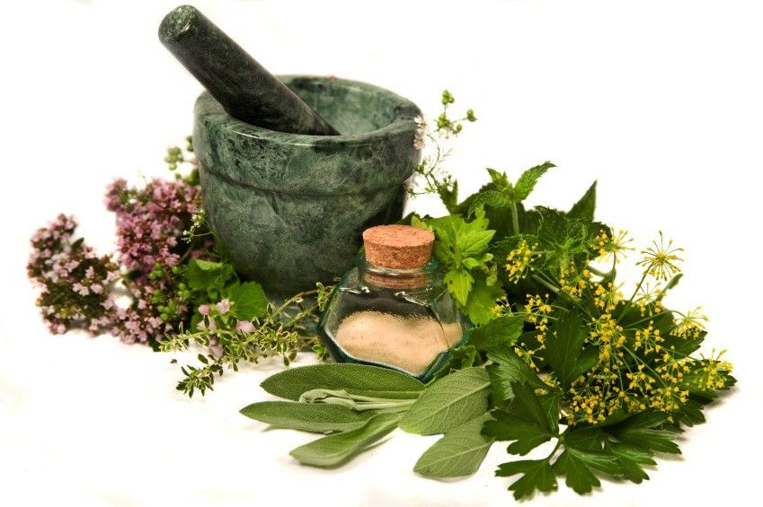 Medicinal Herbs Various Applications For Different Herbs Benefits