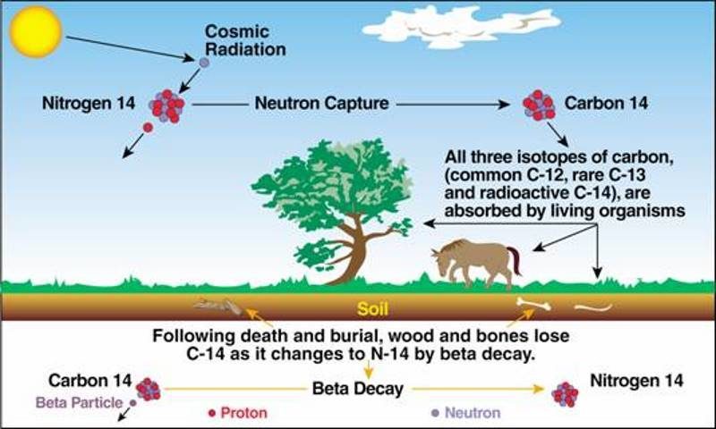 other-methods-besides-carbon-dating-lifescienceglobal