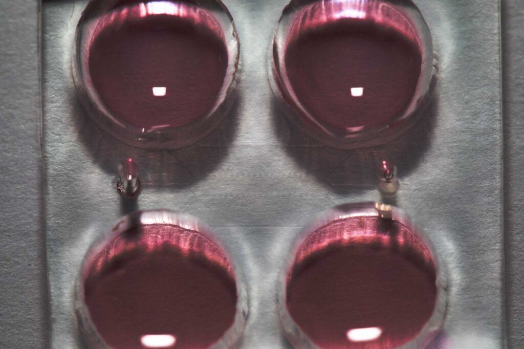 Closeup photograph of a microfluidic chip