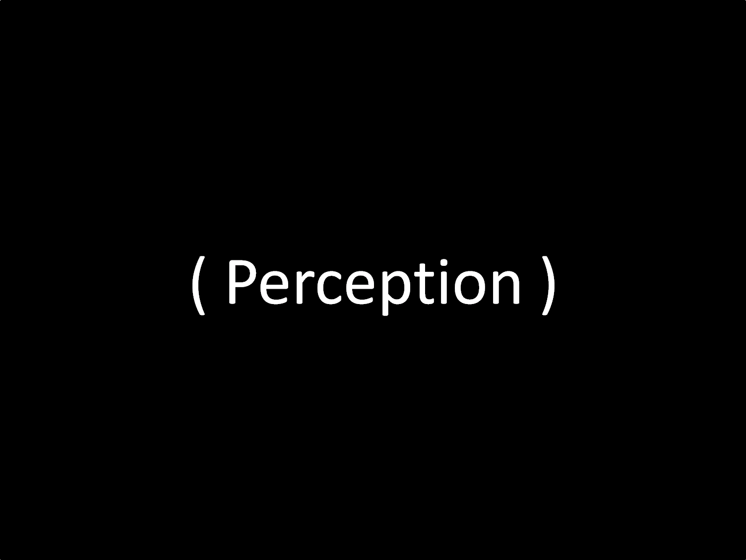 skewed perception definition