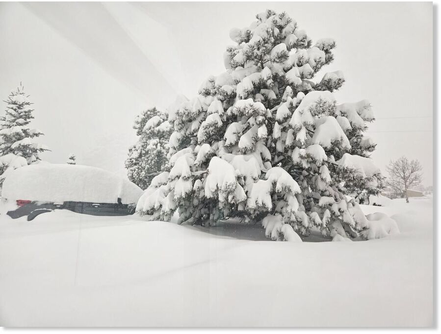 Snow piles up in Woodland Park.  Debbie Kelley