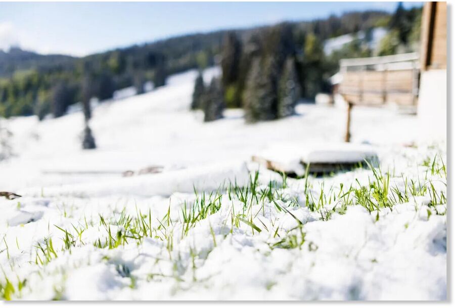 Click to enlarge Summer hasn't started for everyone: where in Russia will frosts reach -5 and sleet fall?