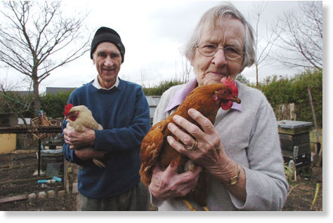 Montana woman uses chicken therapy to comfort seniors — Don't Panic ...