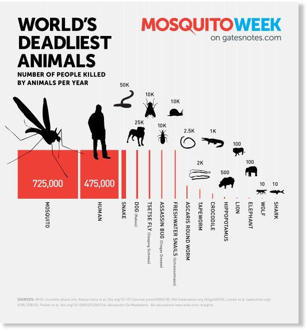 Which Animal Kills The Most People Science Technology Sott