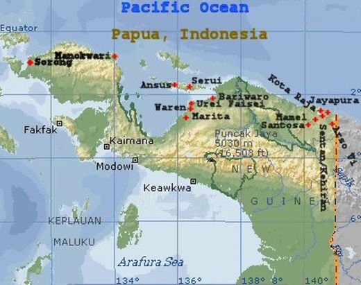 41 young children die from mystery disease in Papua, Indonesia ...