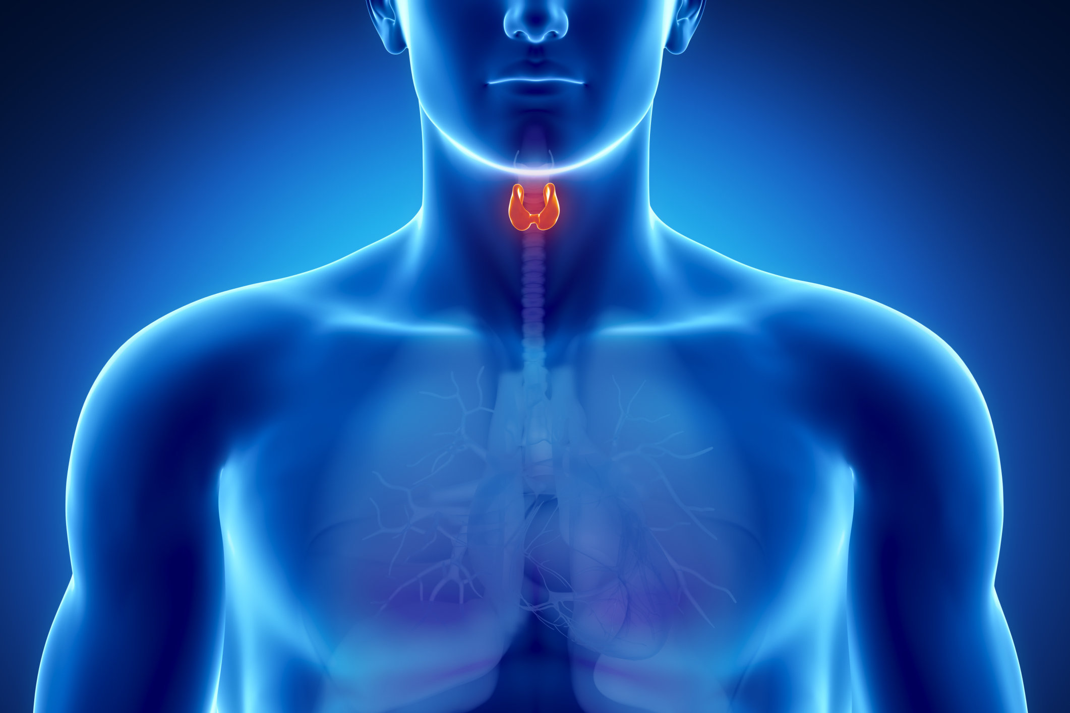 Gut Microbes And The Thyroid What s The Connection Health 