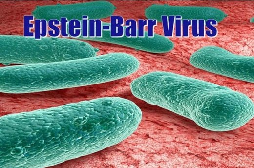 a-medical-medium-speaks-about-the-stages-of-epstein-barr-virus-and