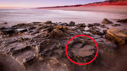 dinosaur footprint on beach Hot Sale - OFF 51%