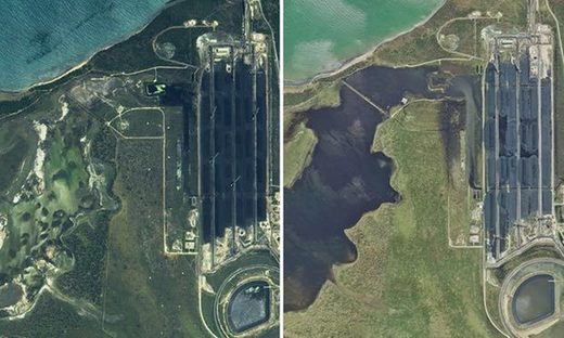 'Massive contamination': Sensitive wetlands blackened by coal dust from ...