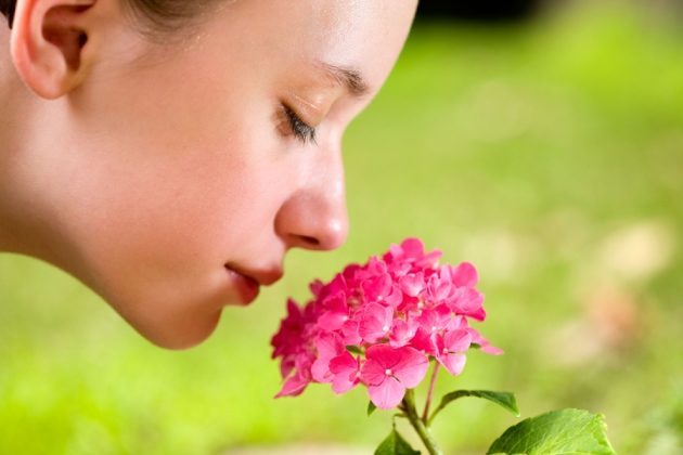 Human Sense Of Smell Is More Acute Than Most People Think Science Technology Sott