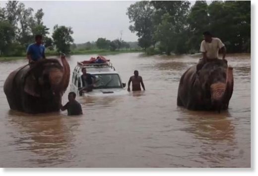 Death Toll From Floods In Nepal Climbs To 120 With About 6 Million ...