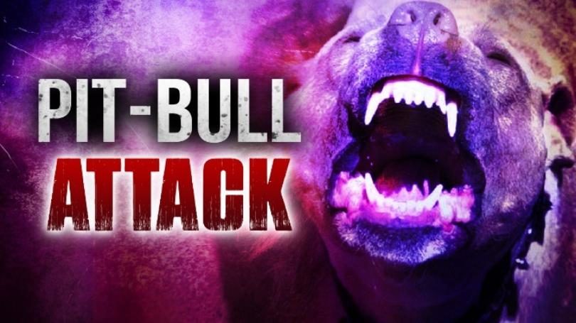 Woman mauled to death by pit bulls in Portsmouth, Virginia — Earth ...