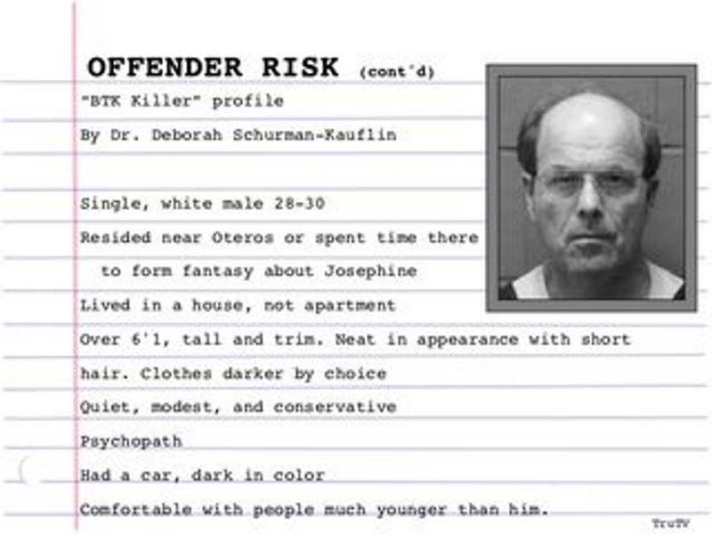 Blank criminal profile template