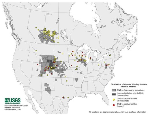 Deer are dying from mysterious chronic wasting disease sparking ...