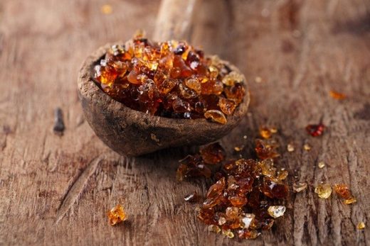 study-shows-gum-arabic-or-acacia-fiber-boosts-prebiotic-activity