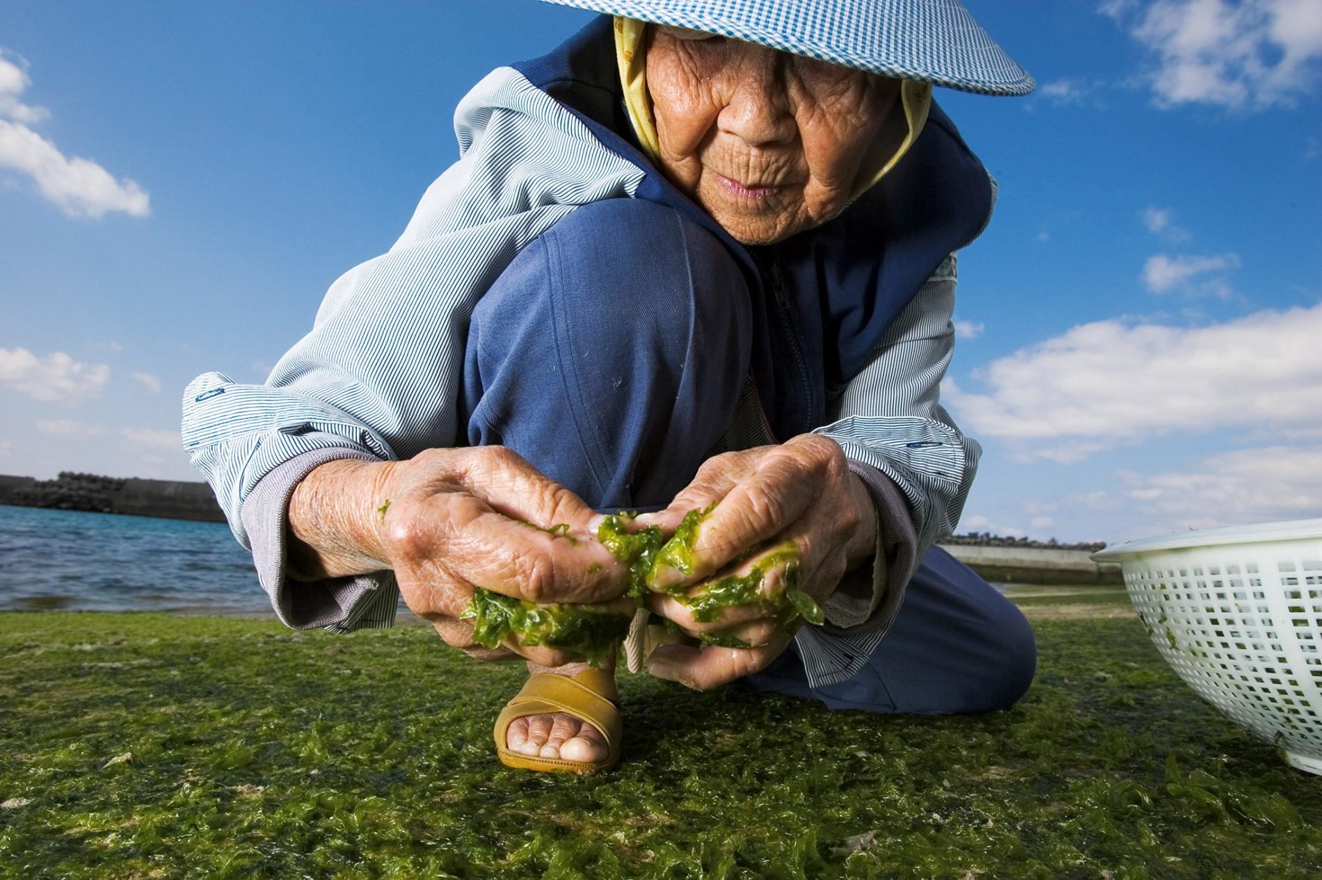 Blue Zones Lessons For Living Longer From Centenarians Across The Globe Health And Wellness 8779