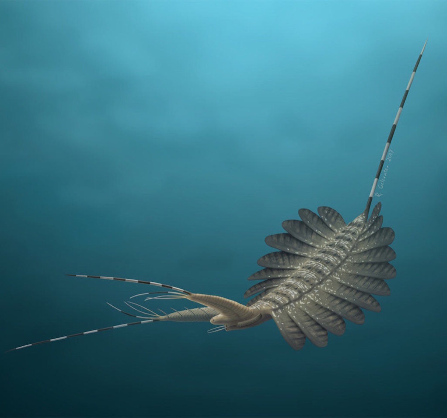 Fossilized brains of ancient 'sea monster' discovered in Greenland ...