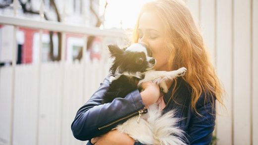 'Emotional support animals' on the rise at Yale University, more