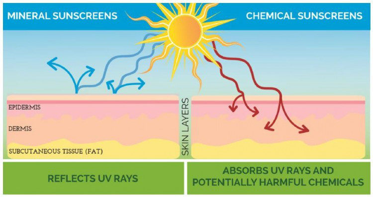 physical v chemical sunscreen