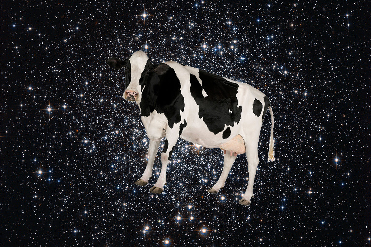 mystery burst from space dubbed “the cow”