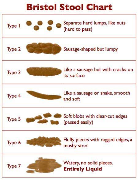 The perfect pooping position — Health & Wellness — Sott.net