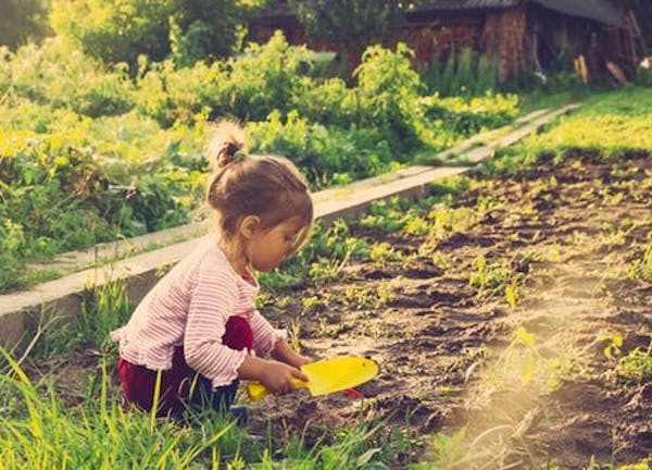 Benefits Of Garden-based Learning For Children — Science Of The Spirit ...