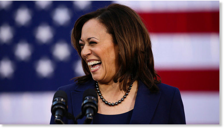 CNN Claims Floozy Kamala Harris Had 'record-breaking' Turnout At Town ...