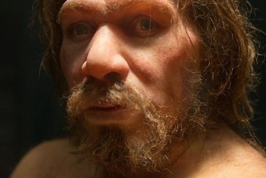 No humans needed: Neanderthals possibly responsible for their own ...