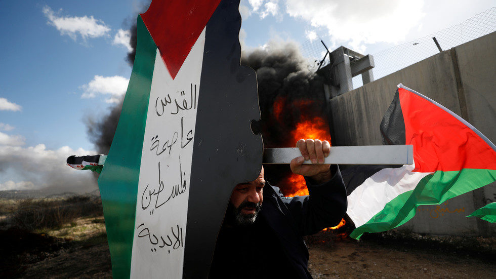 palestinian demonstrator