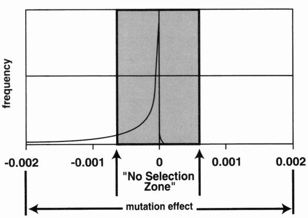 distribution of mutations