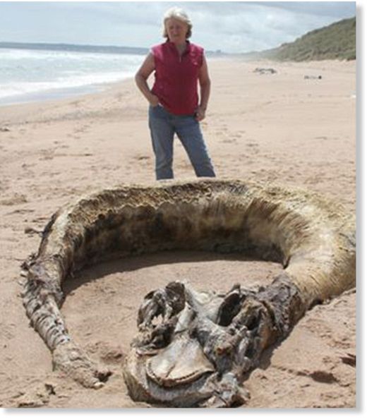 As A Mysterious Skeleton Is Washed Up On A British Beach... Do Sea ...