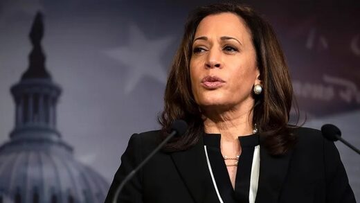 Kamala Harris Belatedly Honors Veterans After Taking Heat For ...