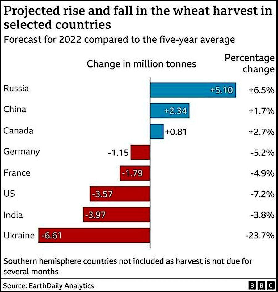Урожай пшеницы по странам 2022