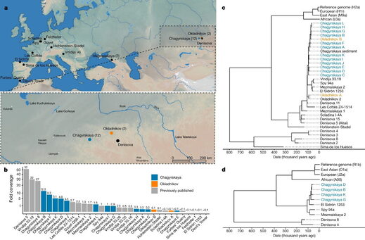 Meet The First Neanderthal Family Science Technology Sott Net   Caves 