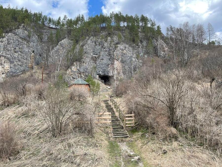 Oldest human genome ever sequenced: 200,000-year-old Denisovan DNA ...