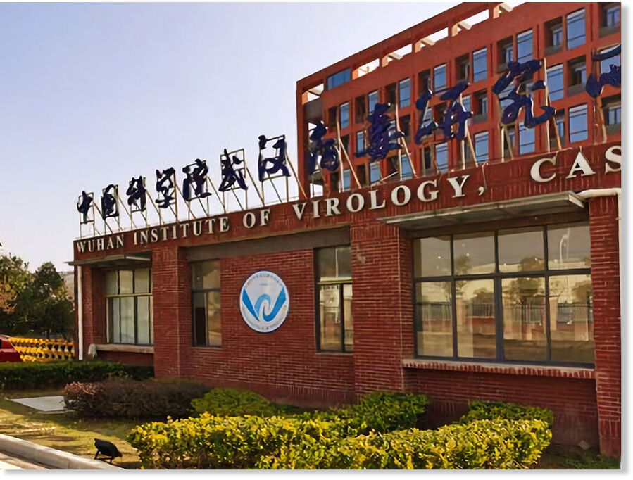 wuhan virology