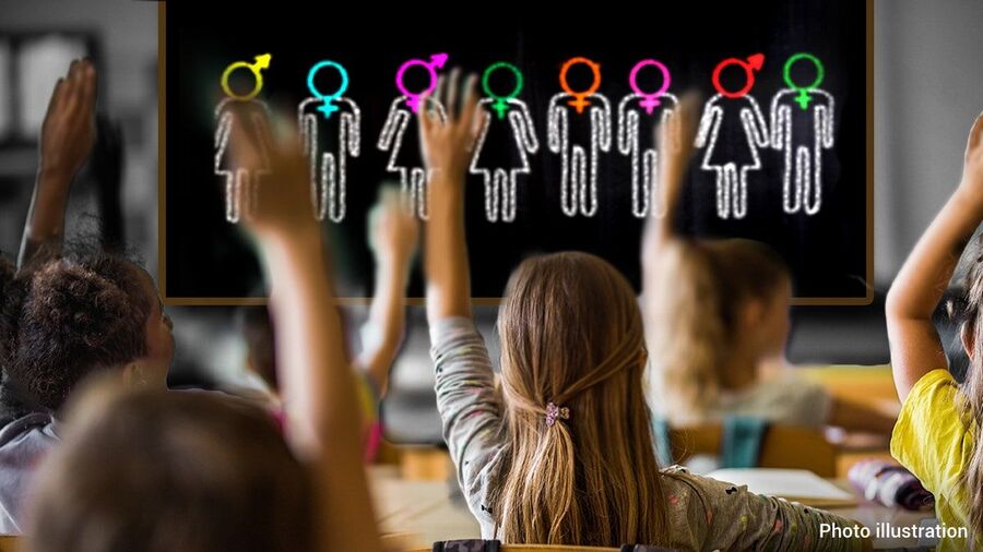 gender curriculum schools transgender