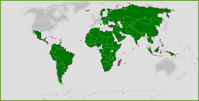 green countries