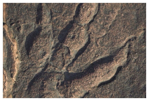 Ancient Footprints