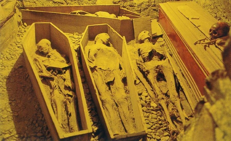 mummies crypt michan's church