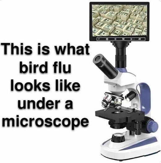 microscope