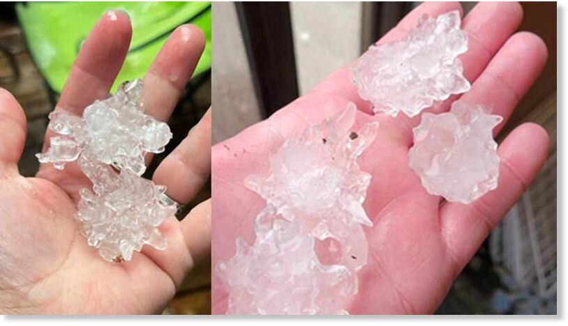 Hail that fell on July 24, 2024 in the Lacombe County region of central Alberta.