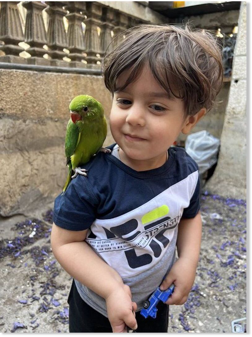 Palestinian boy