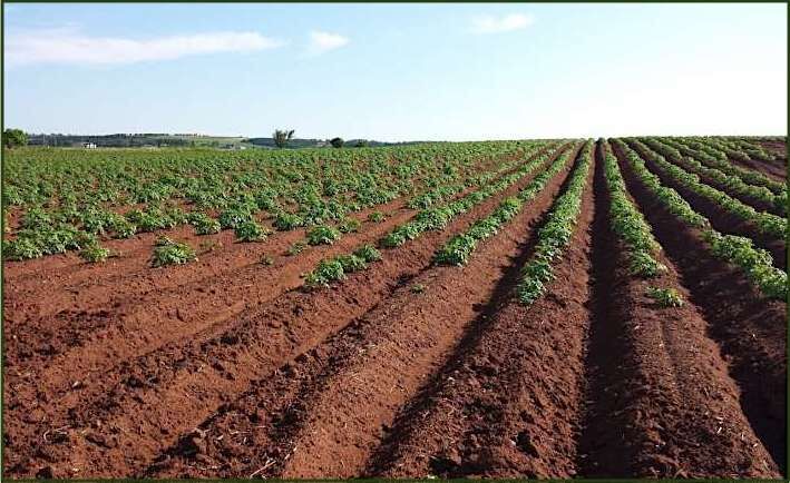 soil and farming