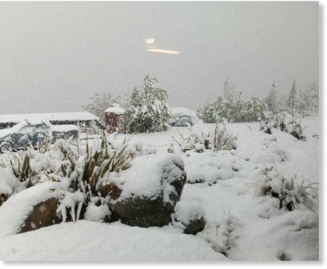 Heavy snow in Lake Ōhau yesterday. Photo: Aaron Jones