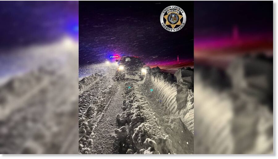 First responders rescue stranded driver