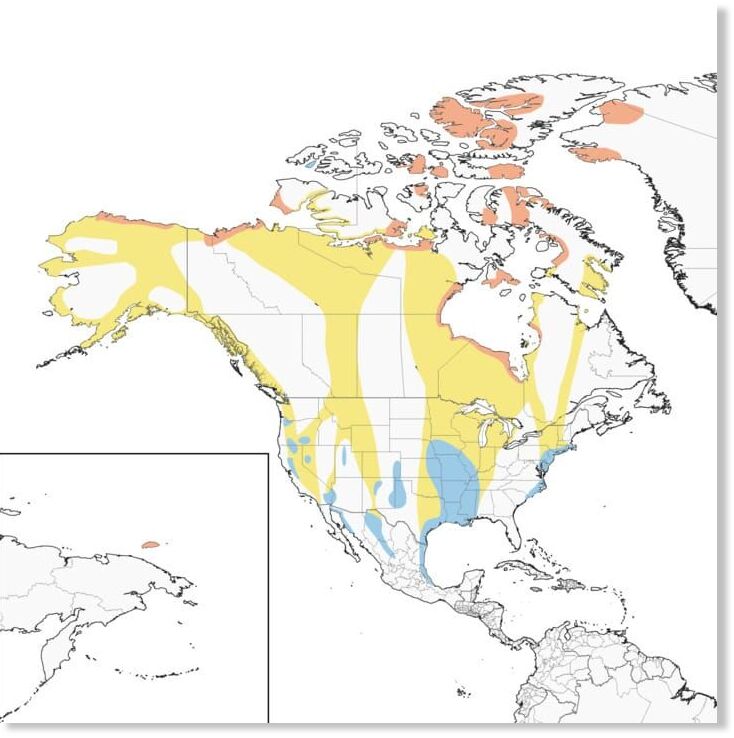 Snow Goose Range Map