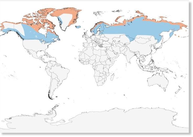 Snowy Owl Range Map